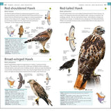Pocket Birds of North America Eastern Region