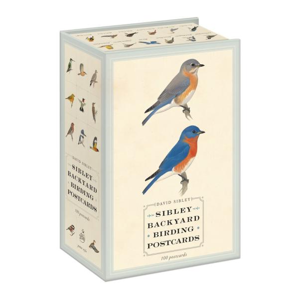 Sibley Backyard Birding Postcards