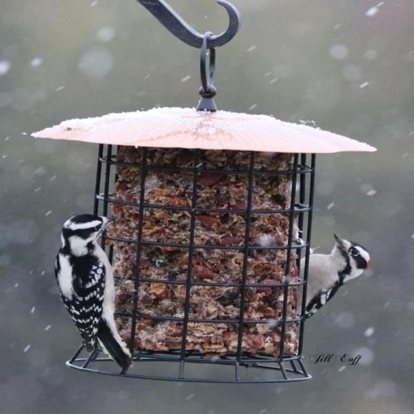 Large Copper Suet Log Feeder