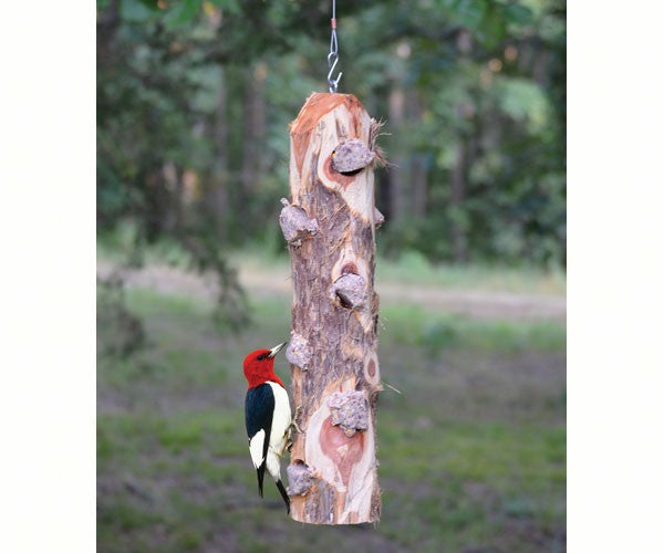 6 Plug Suet Log Feeder without Perches