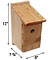 BlueBird House Kit