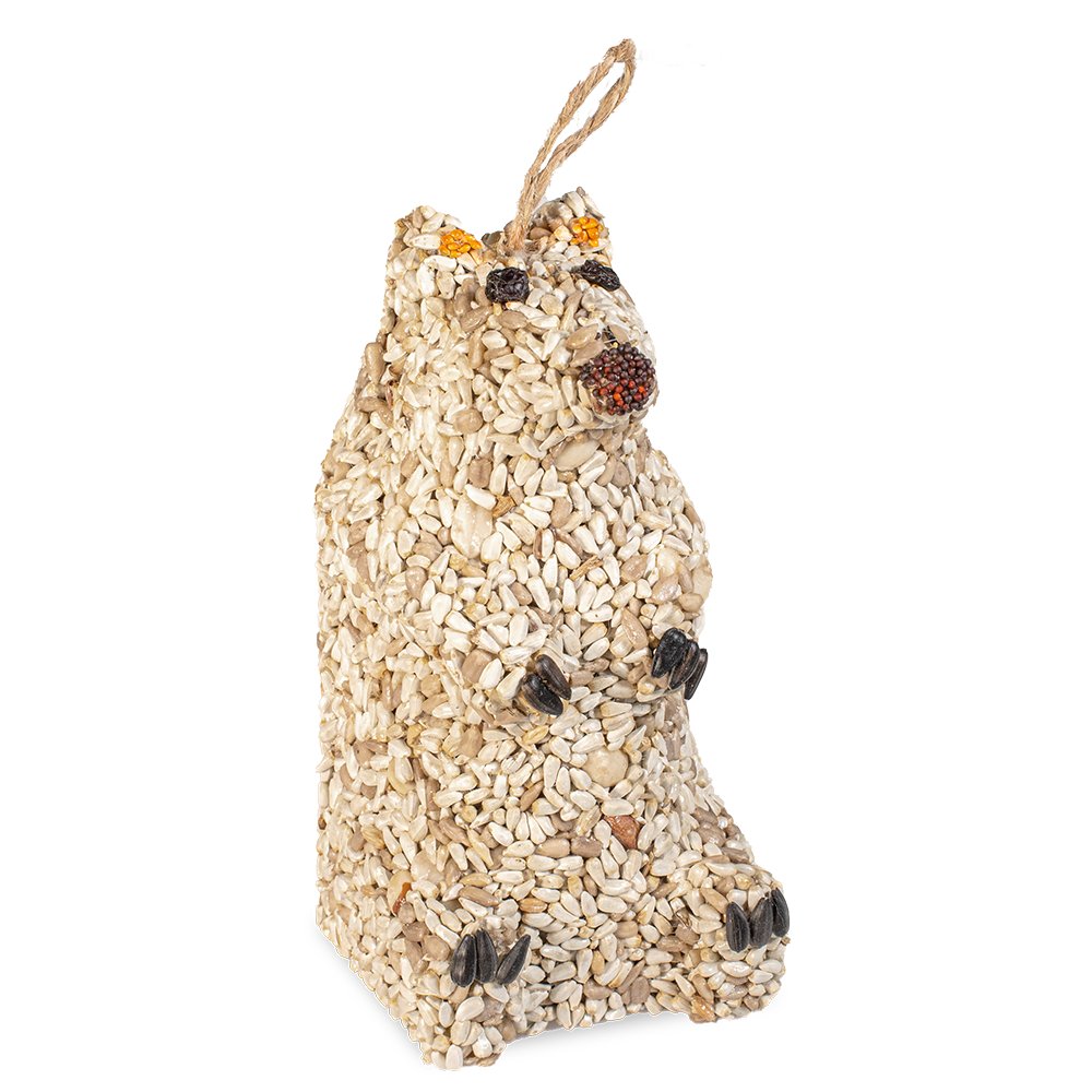 Snow Bear