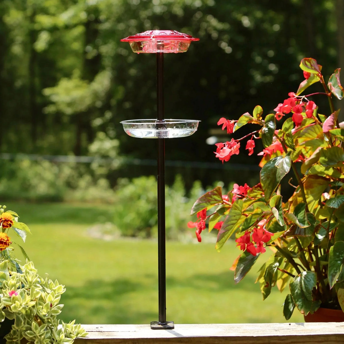 Ant Mote Pole 36"