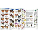 Butterflies and Pollinators A Folding Pocket Guide to Familiar Species