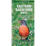 Eastern Backyard Birds Folding Pocket Guide