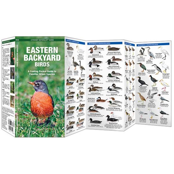 Eastern Backyard Birds Folding Pocket Guide