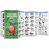 Eastern Backyard Birds Folding Pocket Guide
