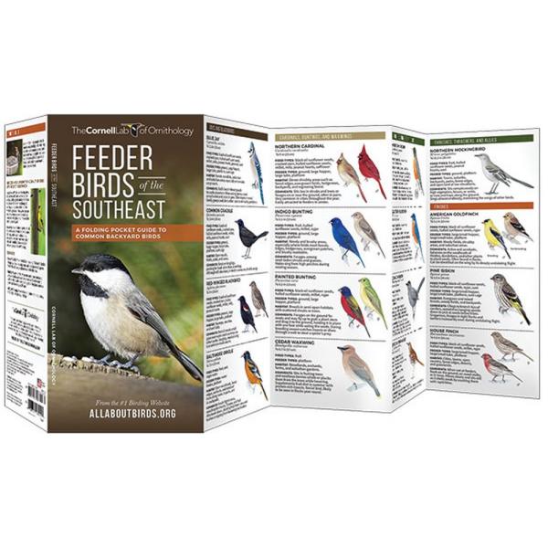 Feeder Birds of the Southeast US by Cornell Lab of Ornithology