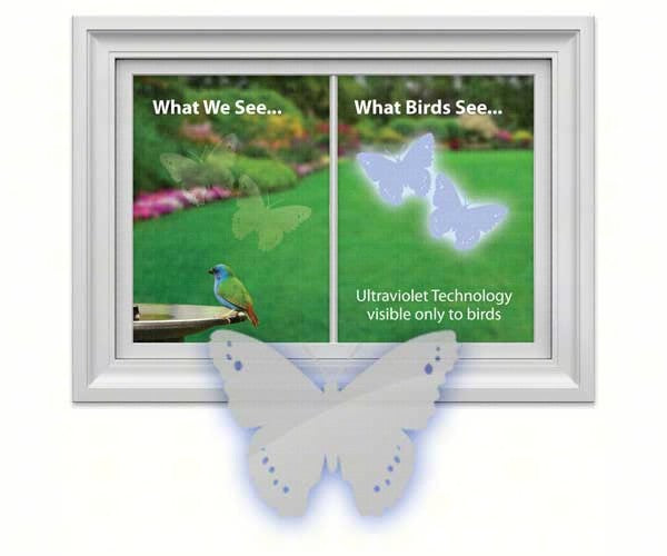 Butterfly Decal (4)