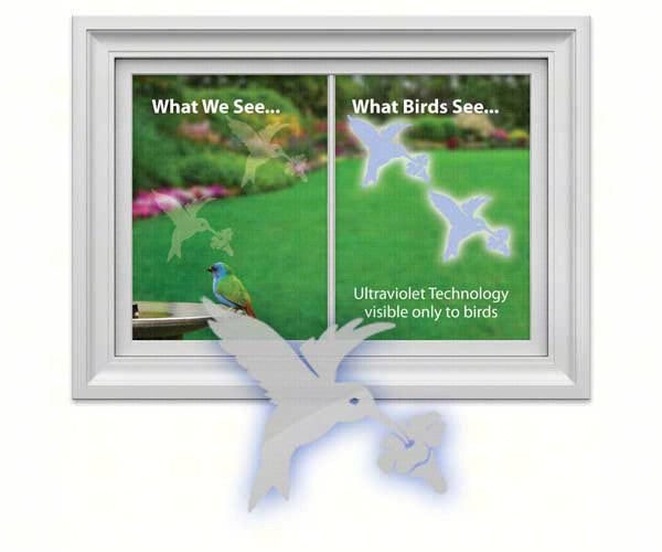 Hummingbird Decal (4)