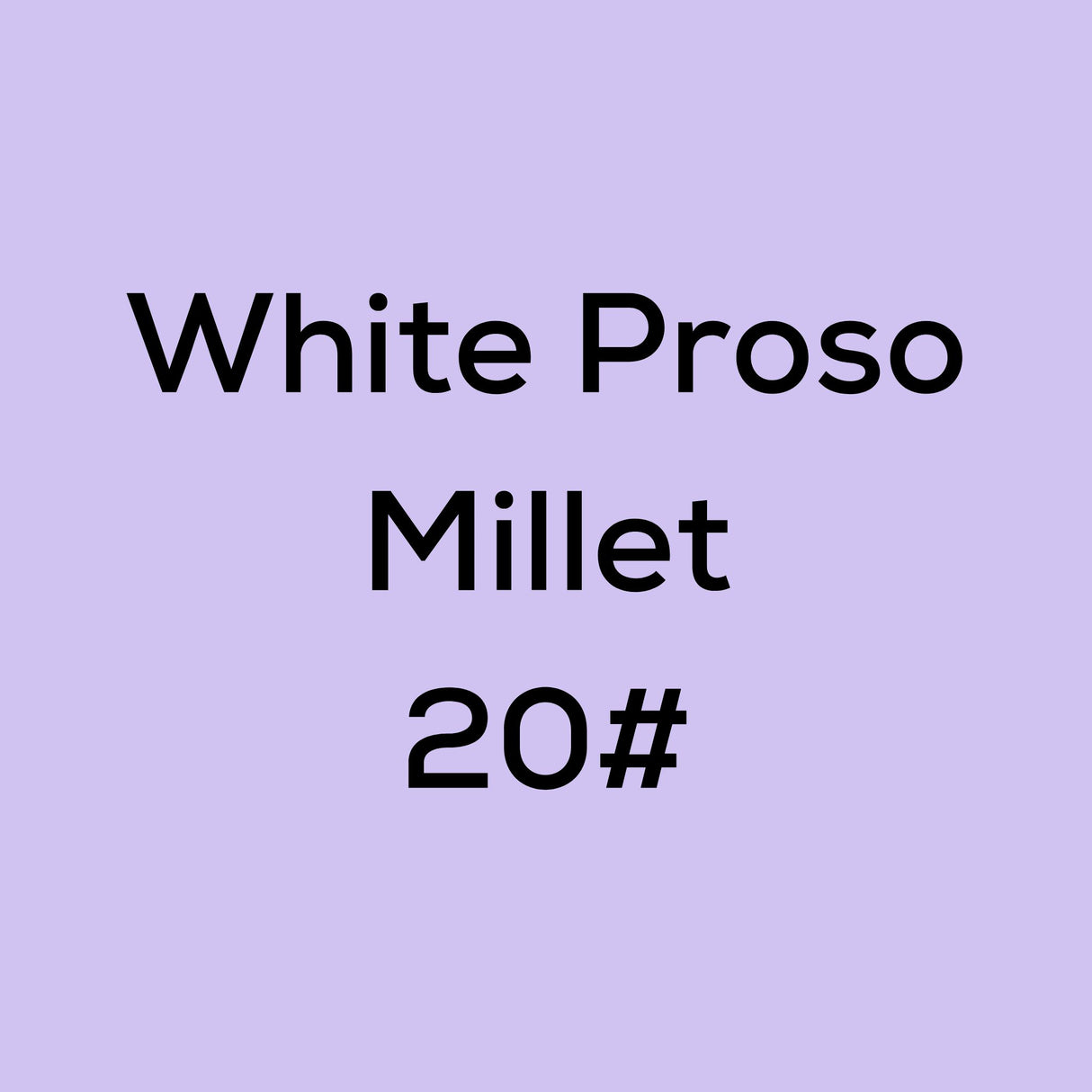 White Proso Millet 20#