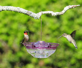 HummBlossom 4oz Feeder PLUM