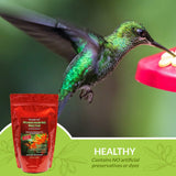 Naturally Fresh Hummingbird Nectar with Feeder Fresh (TM) Nectar Defender (TM) Powder Nectar