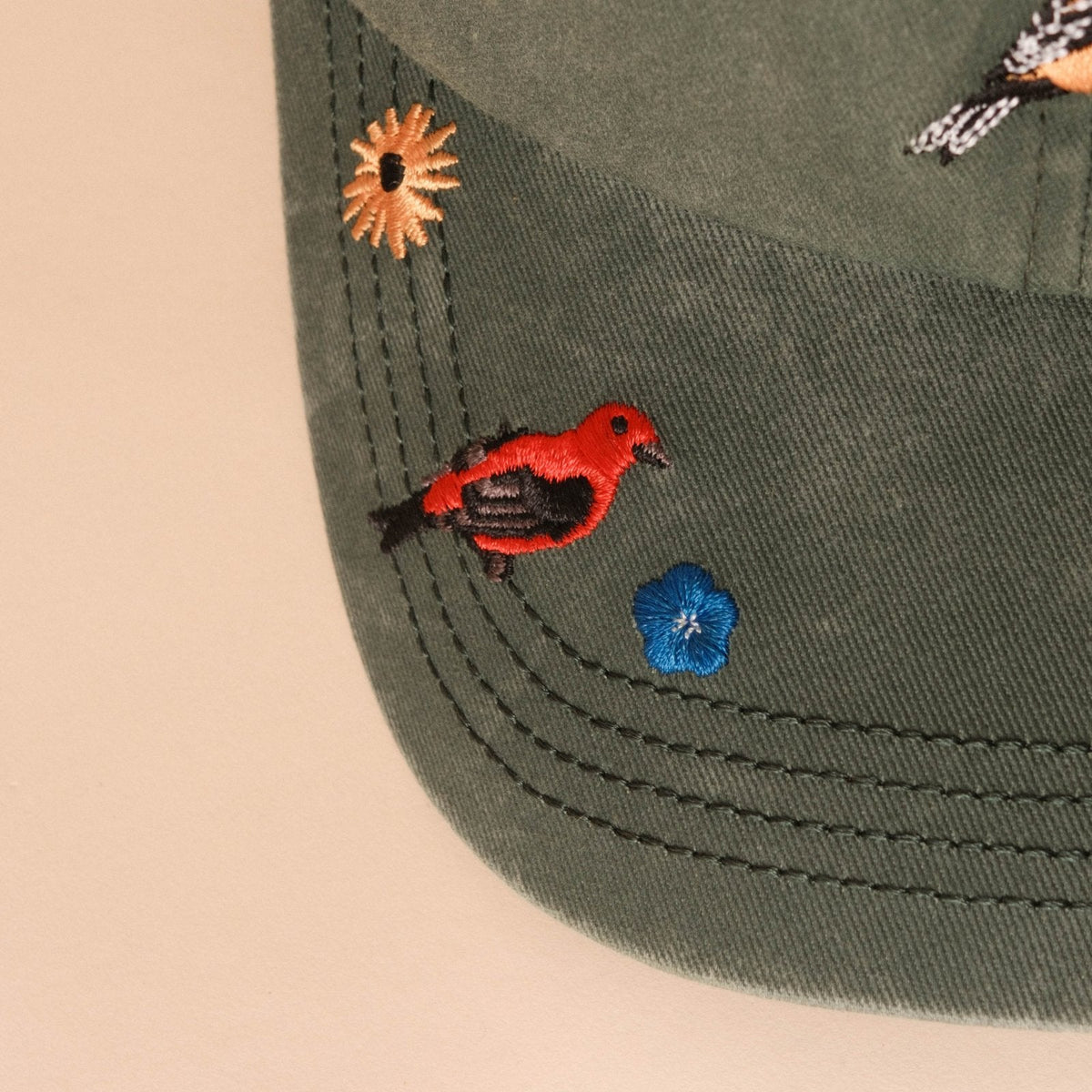 Backyard Birds Dad Hat