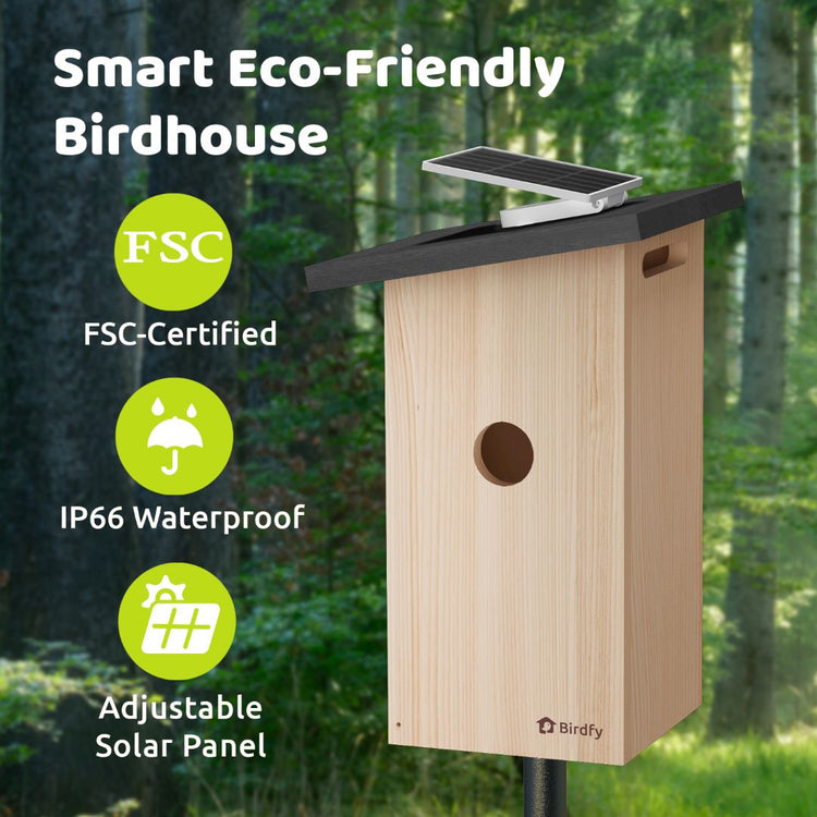 Birdfy Ebony Smart Nest