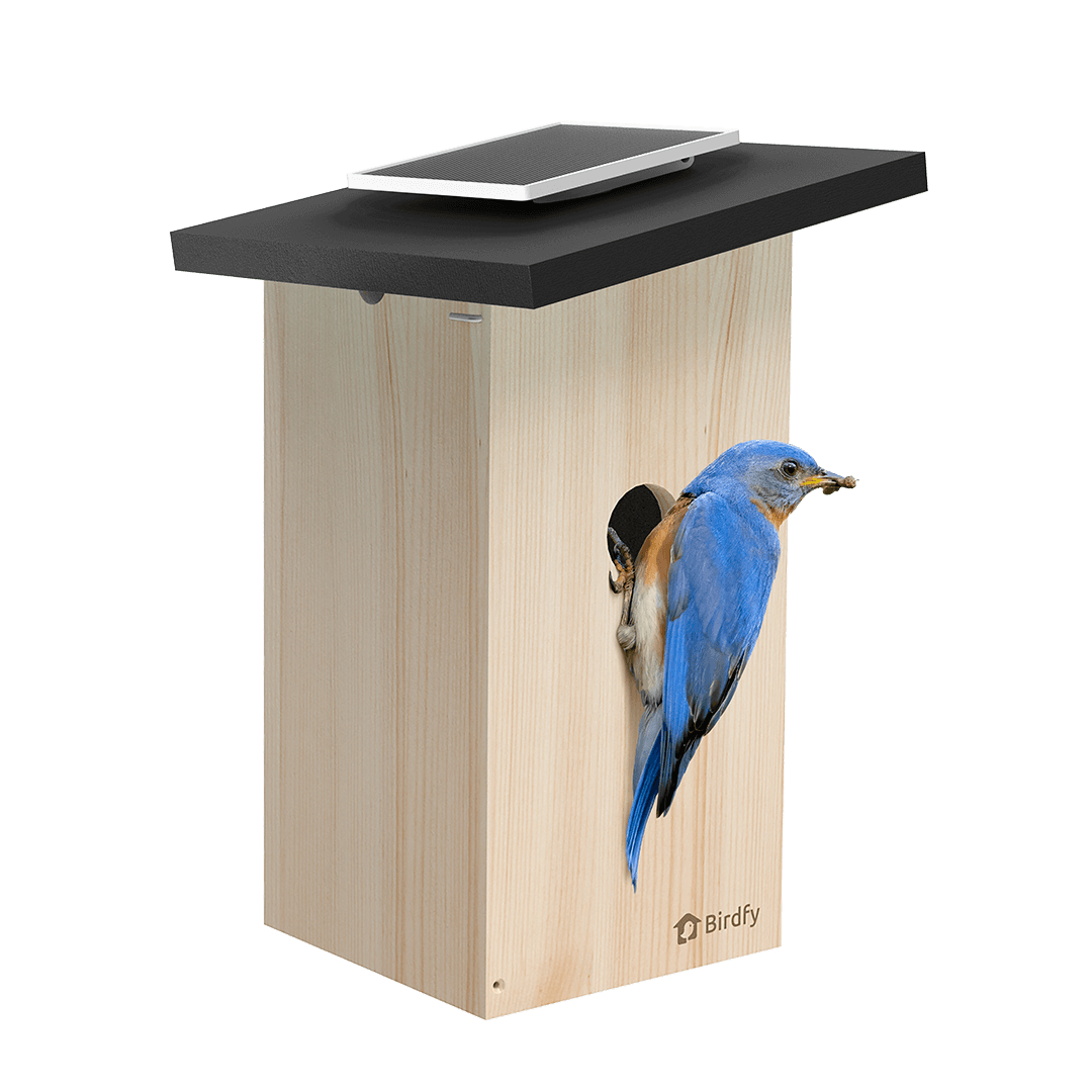 Birdfy Ebony Smart Nest