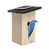 Birdfy Ebony Smart Nest