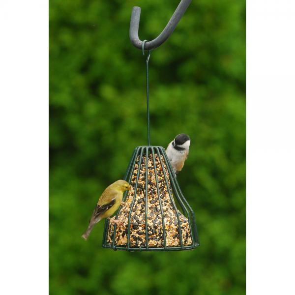 Birdie Bell Only