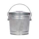 6 Gallon Galvanized Seed Can Locking Lid