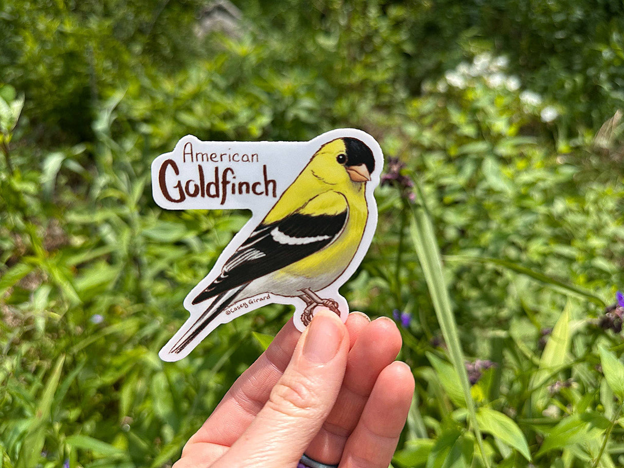 American Goldfinch Sticker
