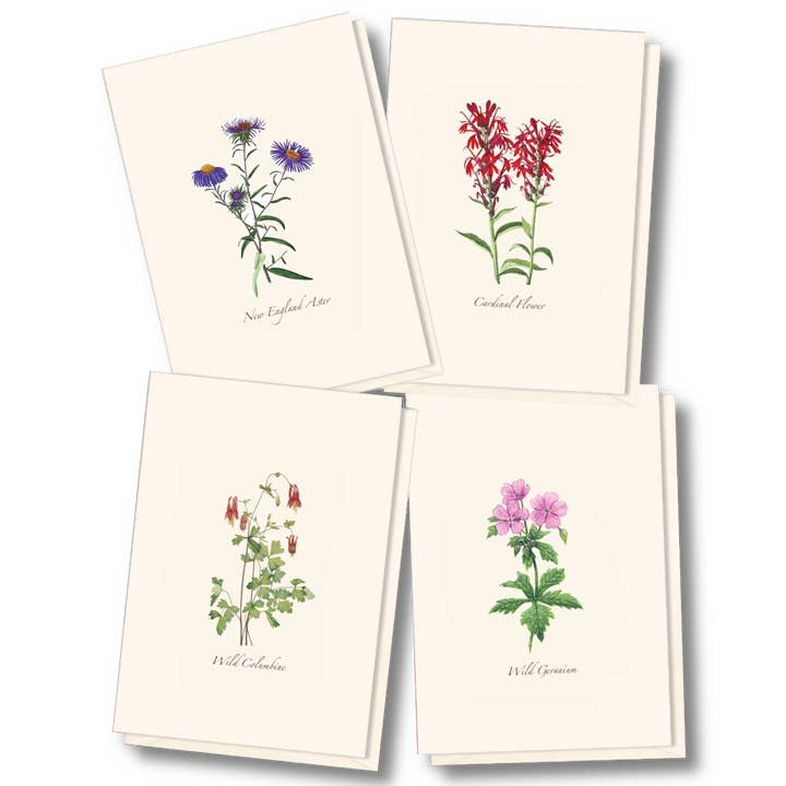 Meadow Wildflower Asst.