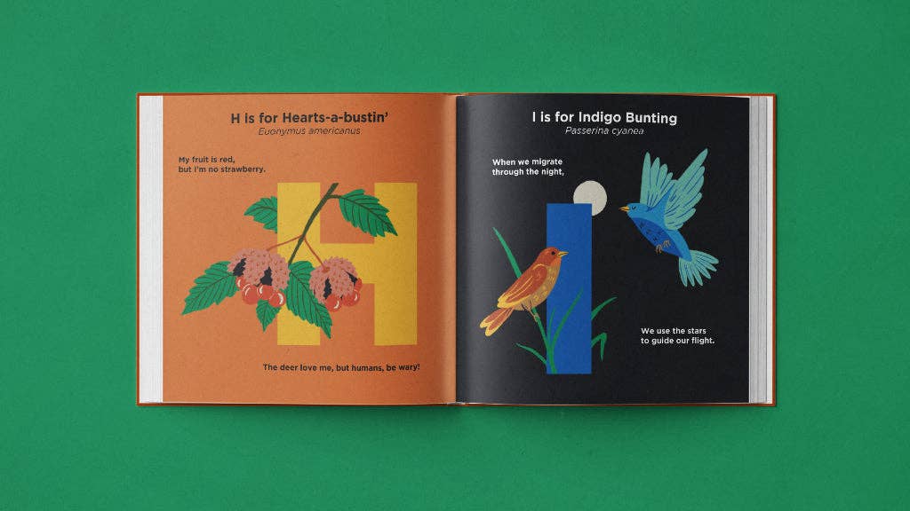 Wild Things of the Upstate | Children's Nature Alphabet Book