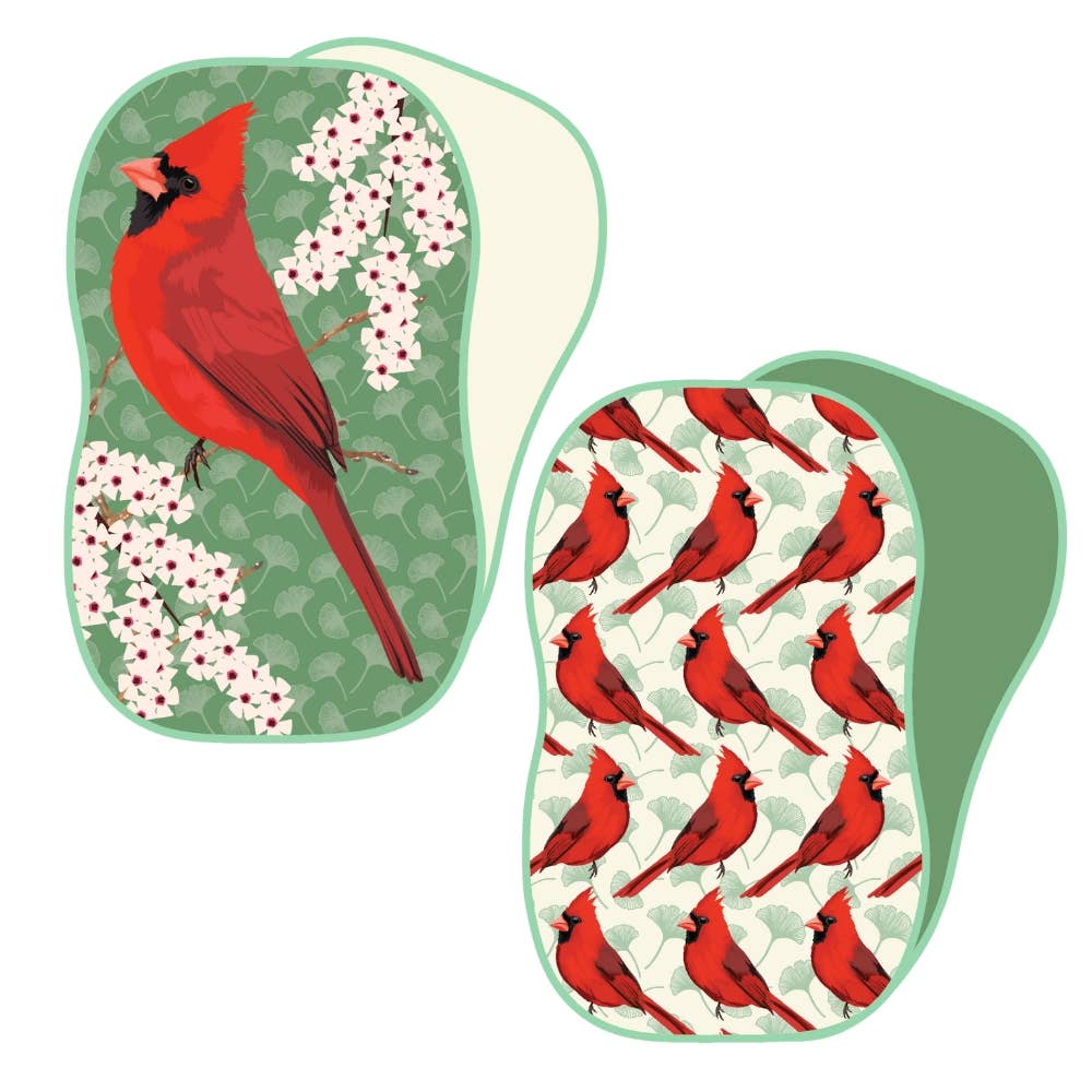 Reusable Sponge