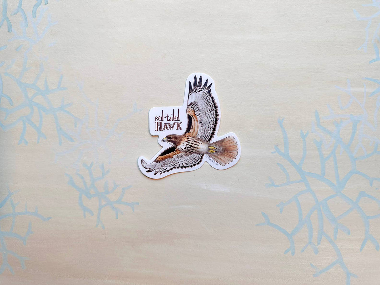 Red-tailed Hawk Sticker