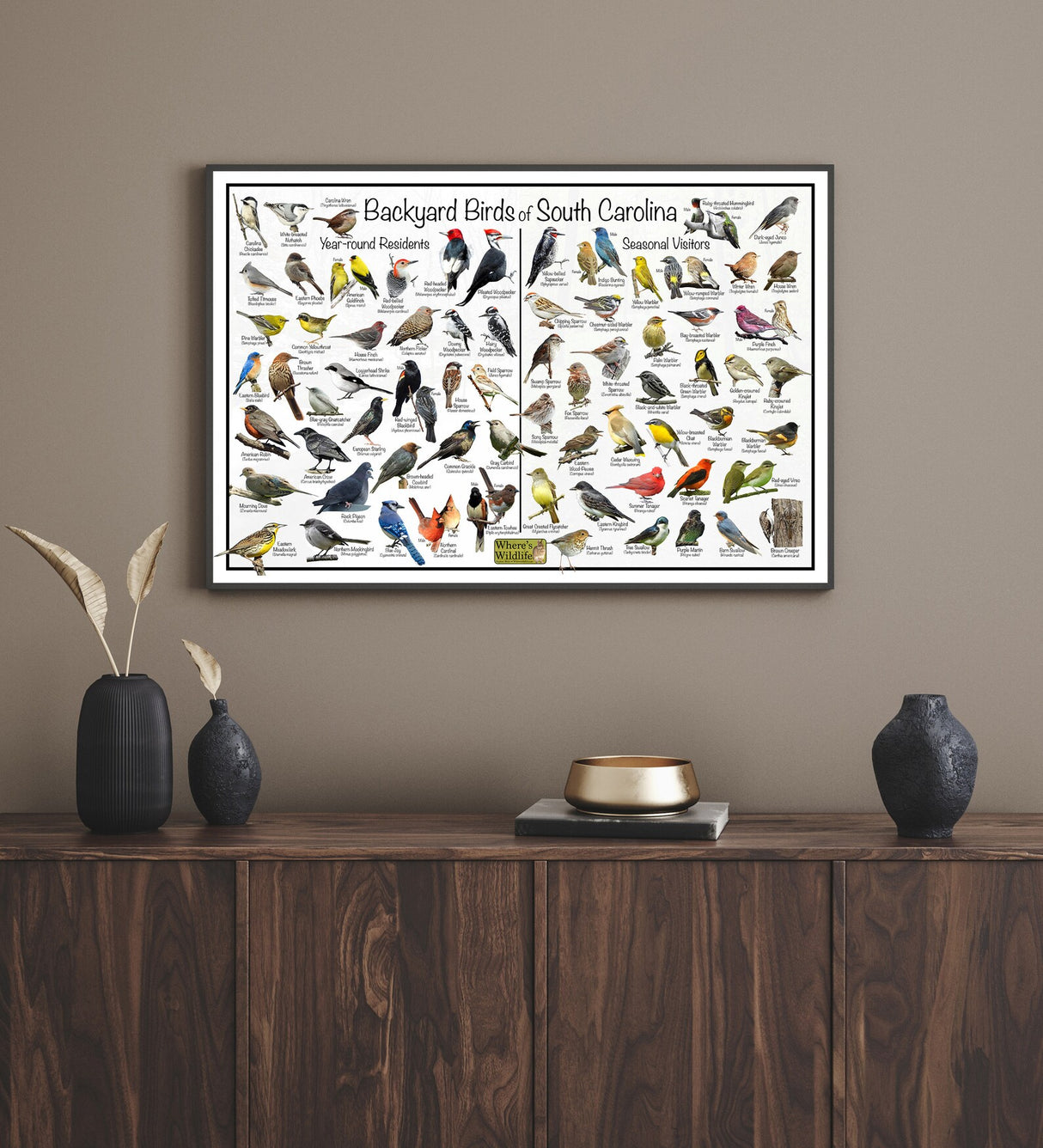 South Carolina Backyard Birds Poster 16x24