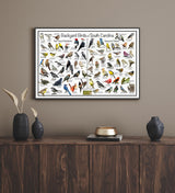 South Carolina Backyard Birds Poster 16x24