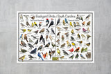 South Carolina Backyard Birds Poster 16x24