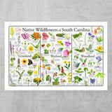 South Carolina Wildflowers Poster 16x24