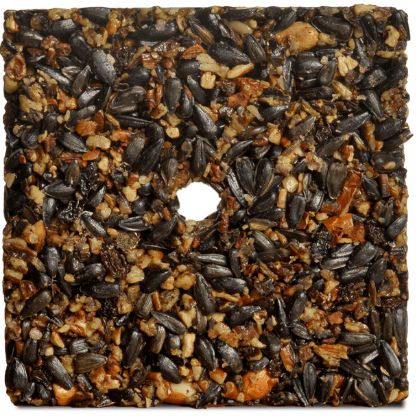 Woodpecker Feast Cake – Small